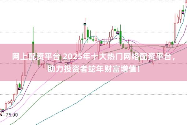 网上配资平台 2025年十大热门网络配资平台，助力投资者蛇年财富增值！