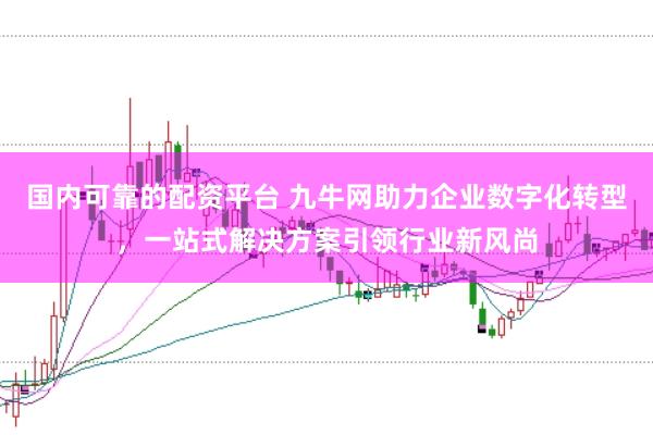 国内可靠的配资平台 九牛网助力企业数字化转型，一站式解决方案引领行业新风尚