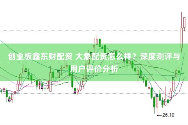 创业板鑫东财配资 大象配资怎么样？深度测评与用户评价分析
