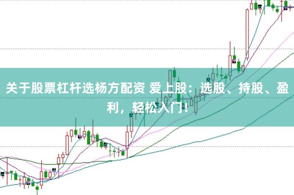关于股票杠杆选杨方配资 爱上股：选股、持股、盈利，轻松入门！