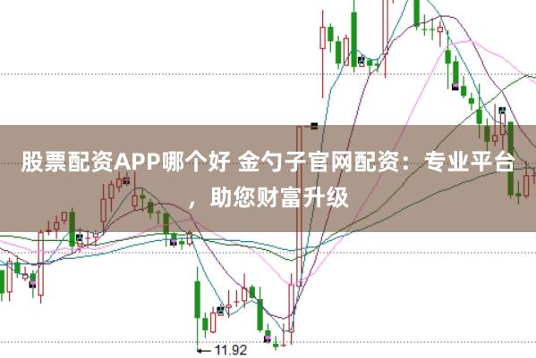 股票配资APP哪个好 金勺子官网配资：专业平台，助您财富升级