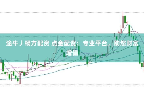 途牛丿杨方配资 点金配资：专业平台，助您财富增值