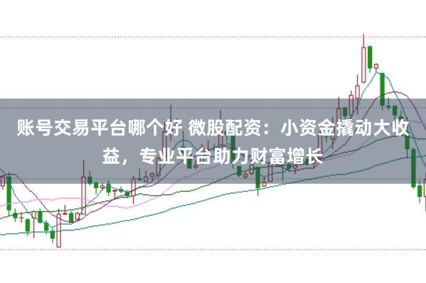 账号交易平台哪个好 微股配资：小资金撬动大收益，专业平台助力财富增长