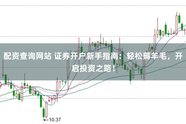 配资查询网站 证券开户新手指南：轻松薅羊毛，开启投资之路！