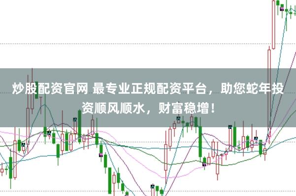 炒股配资官网 最专业正规配资平台，助您蛇年投资顺风顺水，财富稳增！