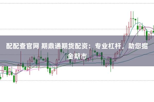 配配查官网 期鼎通期货配资:专业杠杆,助您掘金期市