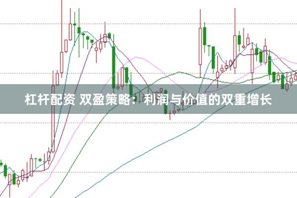杠杆配资 双盈策略:利润与价值的双重增长