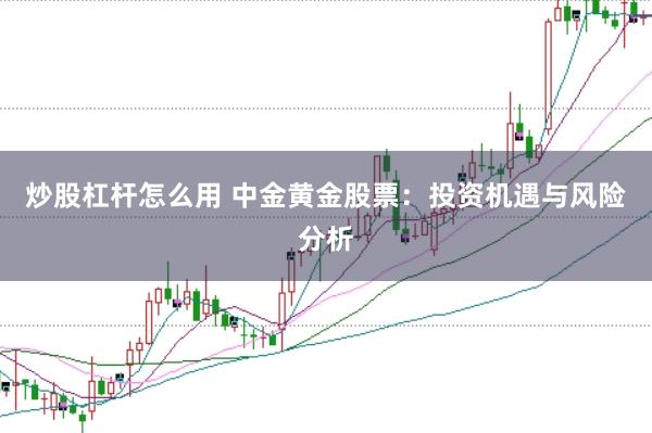 炒股杠杆怎么用 中金黄金股票:投资机遇与风险分析