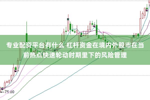 专业配资平台有什么 杠杆资金在境内外股市在当前热点快速轮动时期里下的风险管理