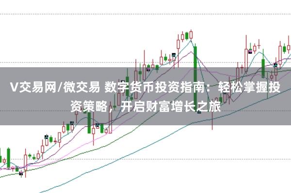 V交易网/微交易 数字货币投资指南：轻松掌握投资策略，开启财富增长之旅