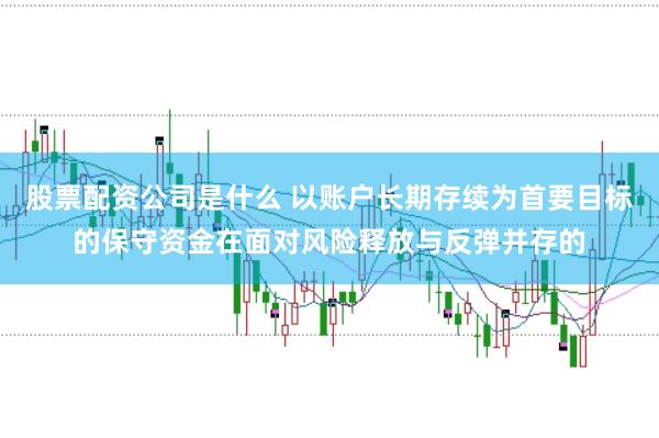 股票配资公司是什么 以账户长期存续为首要目标的保守资金在面对风险释放与反弹并存的