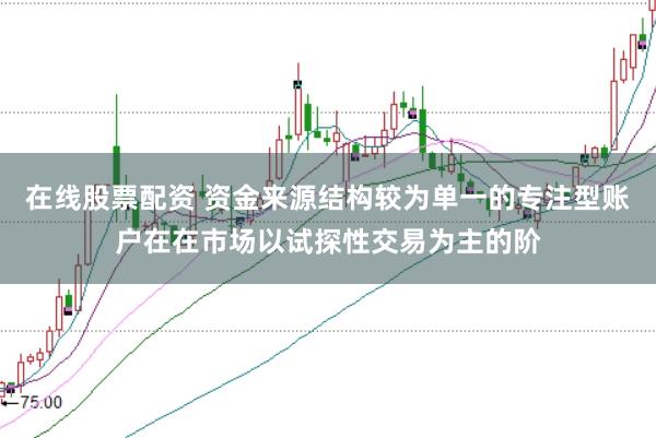 在线股票配资 资金来源结构较为单一的专注型账户在在市场以试探性交易为主的阶