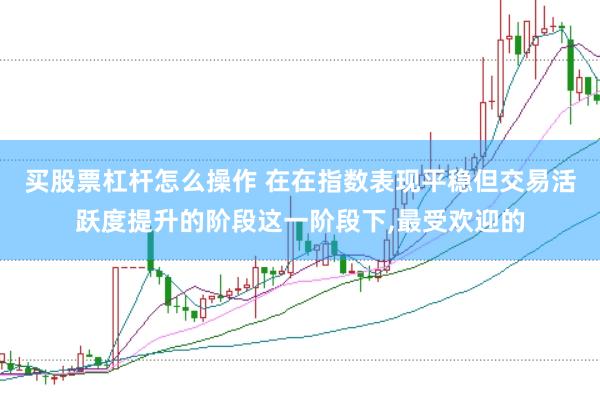 买股票杠杆怎么操作 在在指数表现平稳但交易活跃度提升的阶段这一阶段下，最受欢迎的