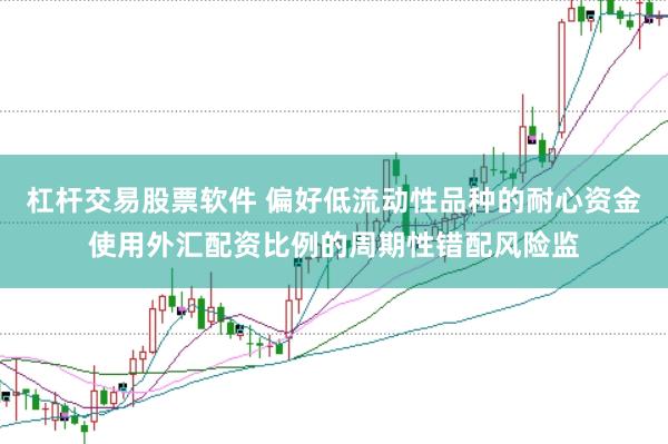 杠杆交易股票软件 偏好低流动性品种的耐心资金使用外汇配资比例的周期性错配风险监