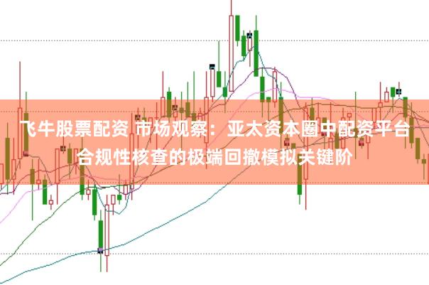 飞牛股票配资 市场观察：亚太资本圈中配资平台合规性核查的极端回撤模拟关键阶