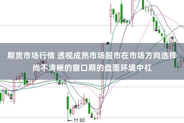 期货市场行情 透视成熟市场股市在市场方向选择尚不清晰的窗口期的盘面环境中杠