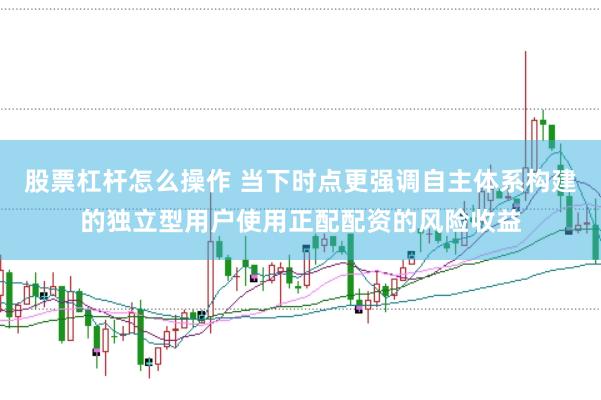 股票杠杆怎么操作 当下时点更强调自主体系构建的独立型用户使用正配配资的风险收益