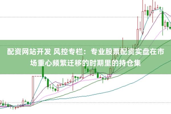 配资网站开发 风控专栏:专业股票配资实盘在市场重心频繁迁移的时期里的持仓集