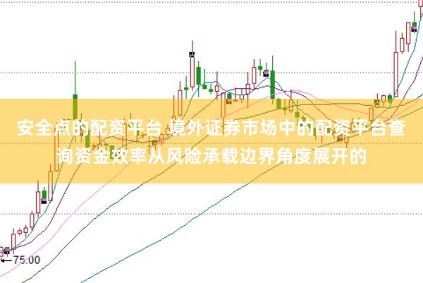安全点的配资平台 境外证券市场中的配资平台查询资金效率从风险承载边界角度展开的