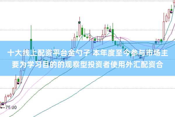 十大线上配资平台金勺子 本年度至今参与市场主要为学习目的的观察型投资者使用外汇配资合