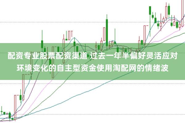 配资专业股票配资渠道 过去一年半偏好灵活应对环境变化的自主型资金使用淘配网的情绪波