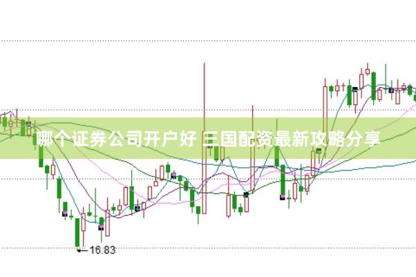 哪个证券公司开户好 三国配资最新攻略分享