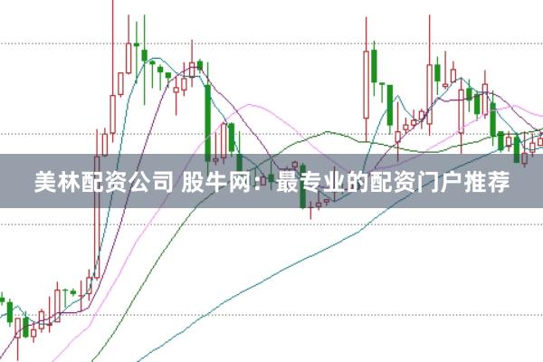 美林配资公司 股牛网：最专业的配资门户推荐