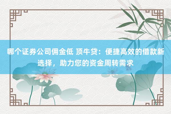 哪个证券公司佣金低 顶牛贷：便捷高效的借款新选择，助力您的资金周转需求