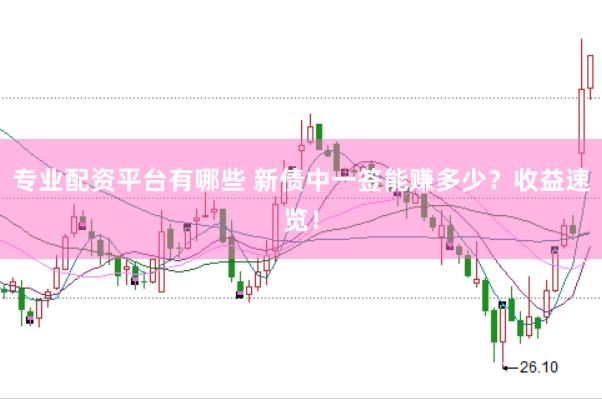 专业配资平台有哪些 新债中一签能赚多少？收益速览！